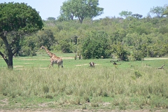 0197-Reis Zuid-Afrika2007